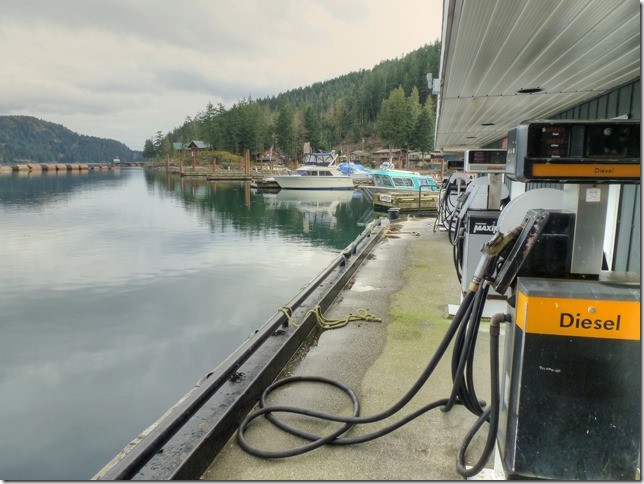 North Island,marina,ships,ocean,Highway 19,Browns Bay