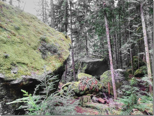 Comox Lake,nature,hiking,outdoors,Cumberland,boulders,Comox Lake Park