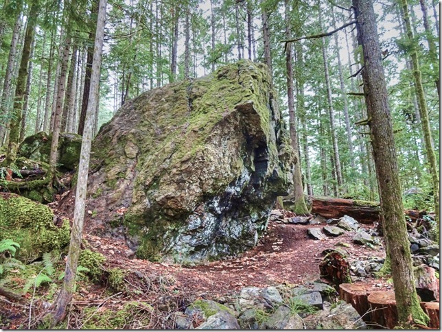 Comox Lake,nature,hiking,outdoors,Cumberland,boulders,Comox Lake Park