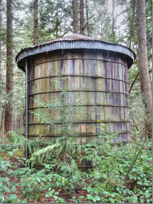 Comox Lake, Puntledge River recreation area,history,Comox Lake Campground,hiking,water tank,wood stave