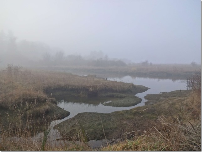 nature,Parksville,river,Estuary,Englishman River