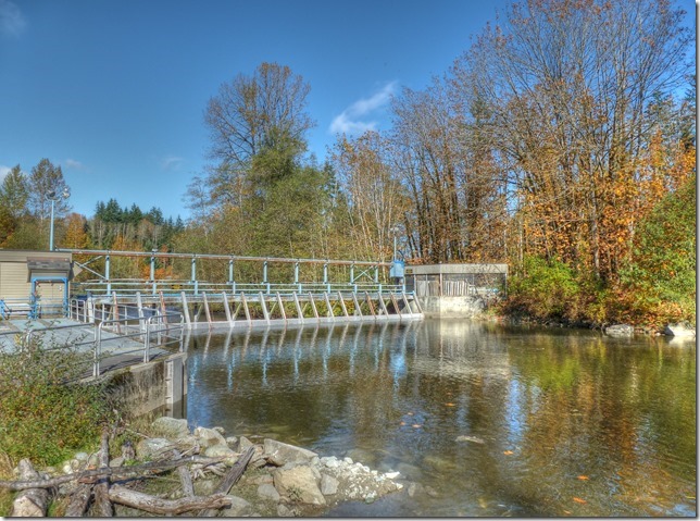 Quinsam River,hatchery,river,Campbell River,salmon