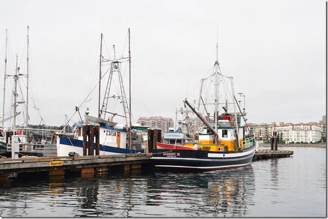 Victoria,James Bay,fisherman's wharf,fish boat,Moresby No. 3,Virgo,Scoundrel,Moresby III