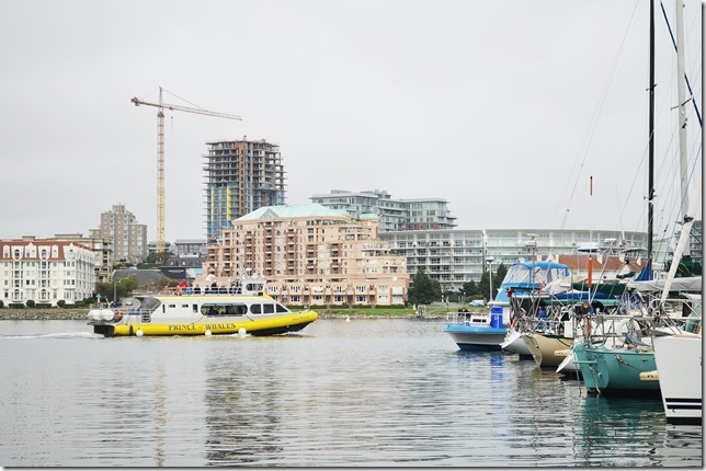 Victoria,James Bay,fisherman's wharf,whale watching,Prince of Whales,Ocean Magic II