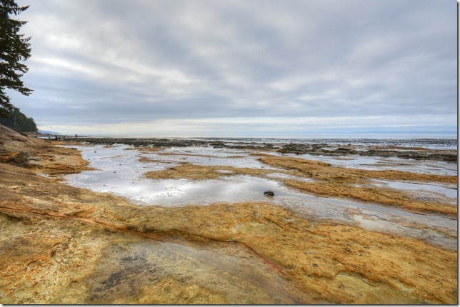ocean,beach,nature,Juan De Fuca Strait,Vancouver Island,British Columbia,Botanical Beach Provincial Park,waves