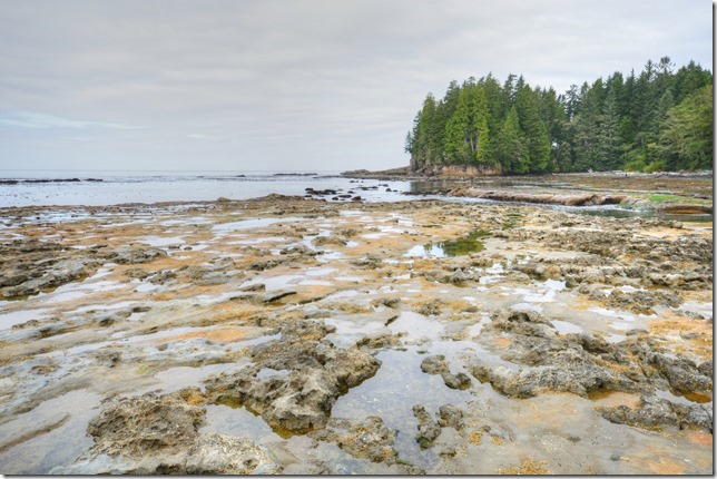 ocean,beach,nature,Juan De Fuca Strait,Vancouver Island,British Columbia,Botanical Beach Provincial Park,waves,Highway 14
