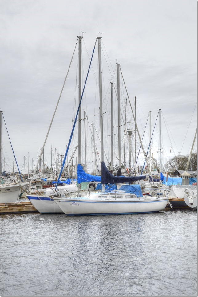 Deep Bay,sailboat,Baynes Sound,marina,Allons-y