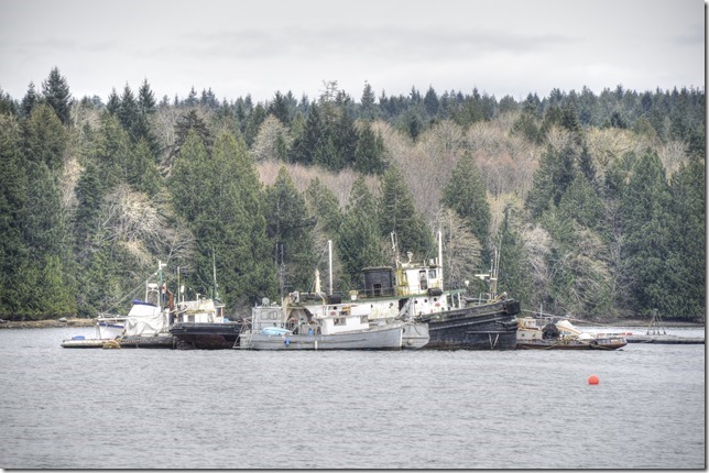Deep Bay,fish boat,derelict ships,ocean,Baynes Sound,Georgia Strait,tug boat
