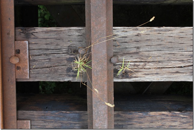 rail,trains,E & N Railway,history,The train don&rsquo;t run here anymore