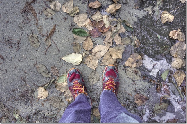ice,winter,Filber,leaves,Comox,Filberg Lodge