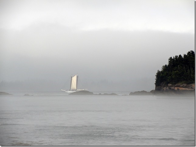New Brunswick,ocean,beach,nature,sailing,sail boat,fog