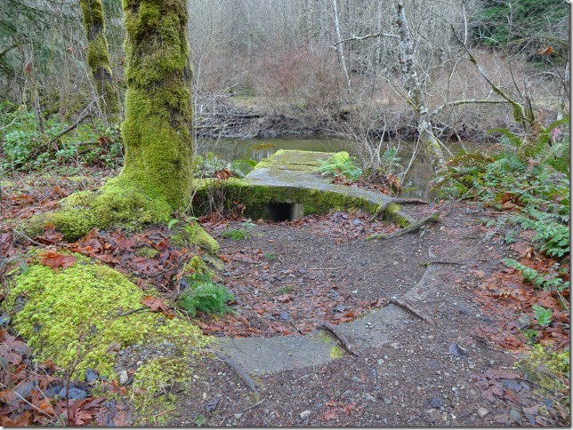 river,Tsolum River,Headquarters,history,Comox Valley