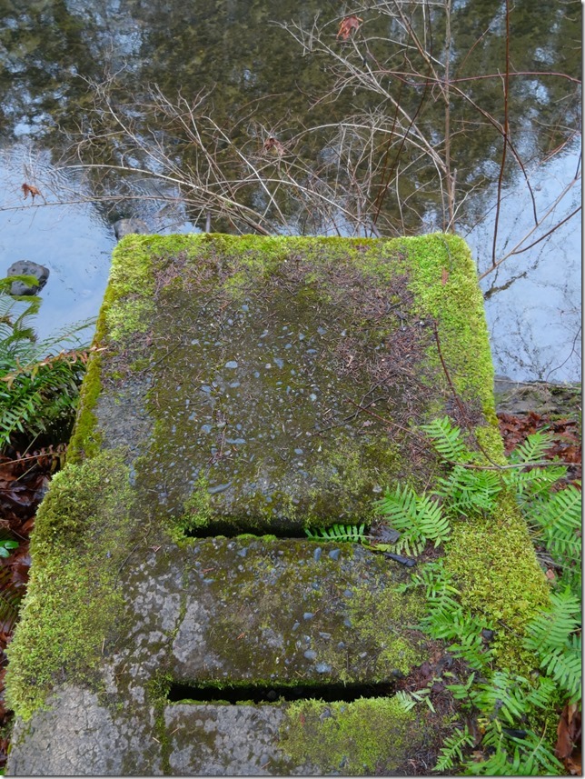 river,Tsolum River,Headquarters,history,Comox Valley