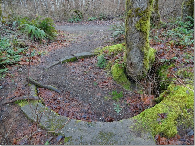 river,Tsolum River,Headquarters,history,Comox Valley