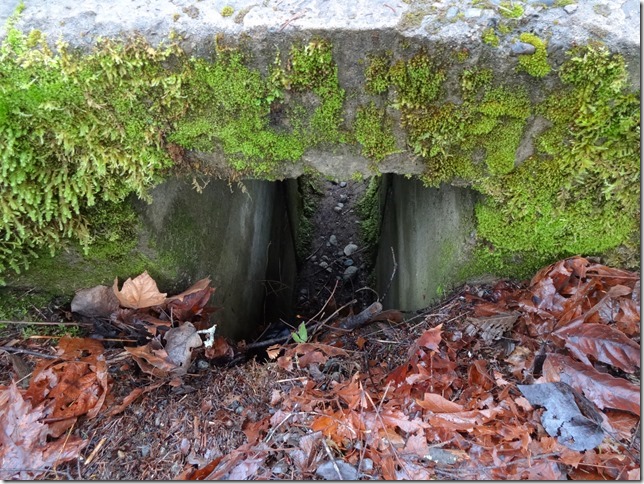 river,Tsolum River,Headquarters,history,Comox Valley