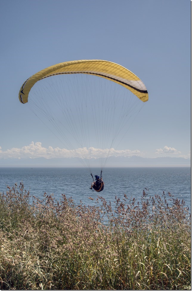 Victoria,sports,summer,Dallas Road,paragliding,wind