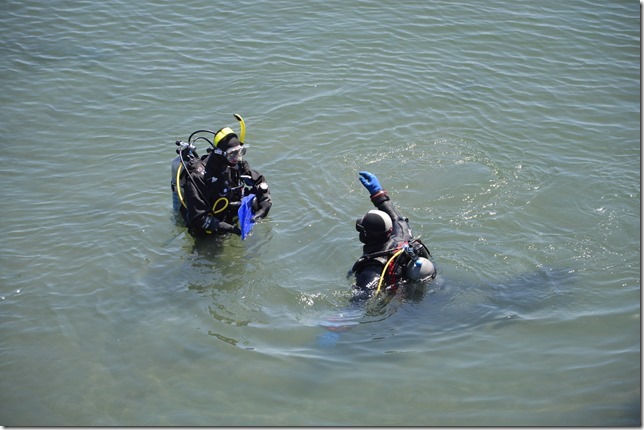 Victoria,scuba,diving,Dallas Road,James Bay,Ogden Point