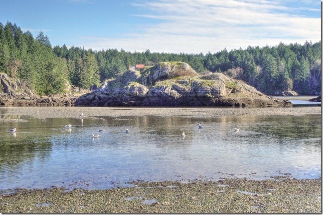 Cortes Island,Provincial Park,ocean,nature,beach,Northern Gulf Islands,Mansons Landing,lagoon,low tide,sand