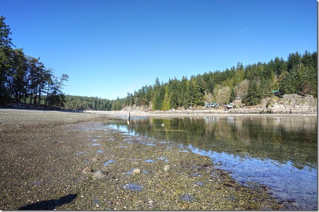 Cortes Island,Provincial Park,ocean,nature,beach,Northern Gulf Islands,Mansons Landing,lagoon,low tide,sand