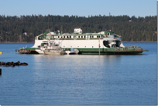 Baynes Sound, Fanny Bay, Highway 19A, Rhododendron, sea lions, ships, Small Waterplane Area Twin Hull (SWATH) Baynes Sound, Fanny Bay, Highway 19A, Rhododendron, sea lions, ships, Small Waterplane Area Twin Hull (SWATH)