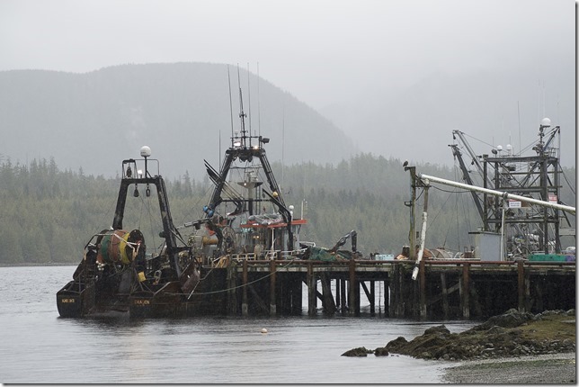 fishing boats,Ucluelet,spring,marina,ocean,Knight Dragon