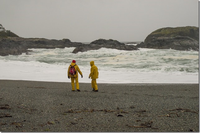 Highway 4,Pacific Rim,Fall,beach,ocean,Long Beach National Park Reserve,fall,Ucluelet,Tofino,Wickaninnish Beach