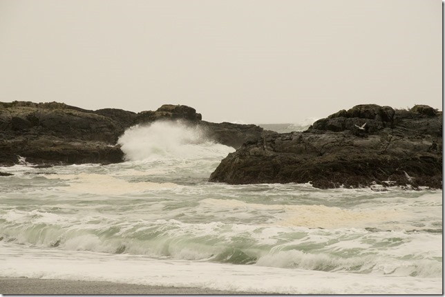 Highway 4,Pacific Rim,Fall,Long Beach National Park Reserve,National Park,ocean,waves