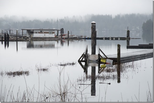 Highway 4,Pacific Rim,Fall,Sproat Lake