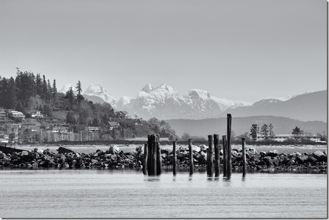 Comox,Royston,beach,ocean,nature,spring,Salish Sea,mountains