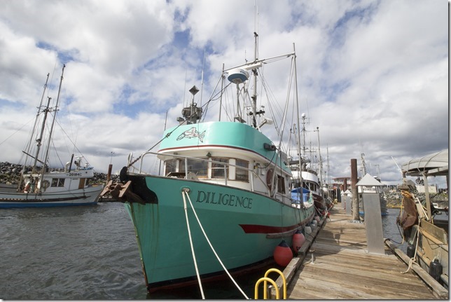 Comox,fisherman's wharf,marina,fish boat,spring