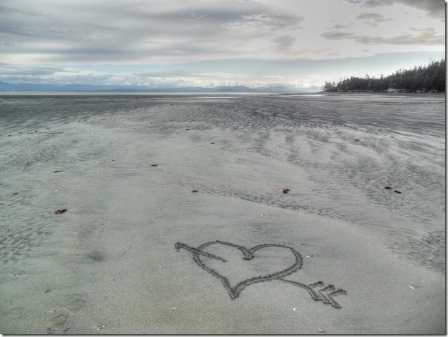 beach,ocean,Kye Bay,Georgia Strait,nature,spring,Lazo,clouds