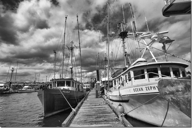 Comox,fisherman's wharf,marina,fish boat,spring