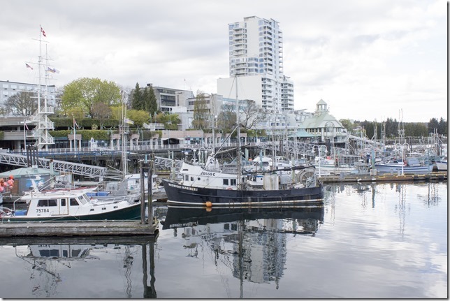 Nanaimo,tug boat,marina,fish boat,spring