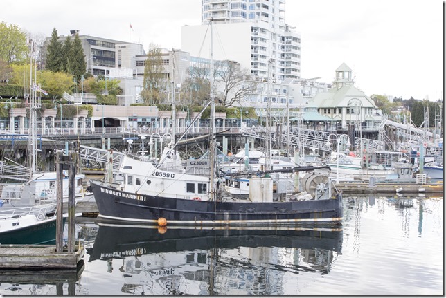 Nanaimo,tug boat,marina,fish boat,spring