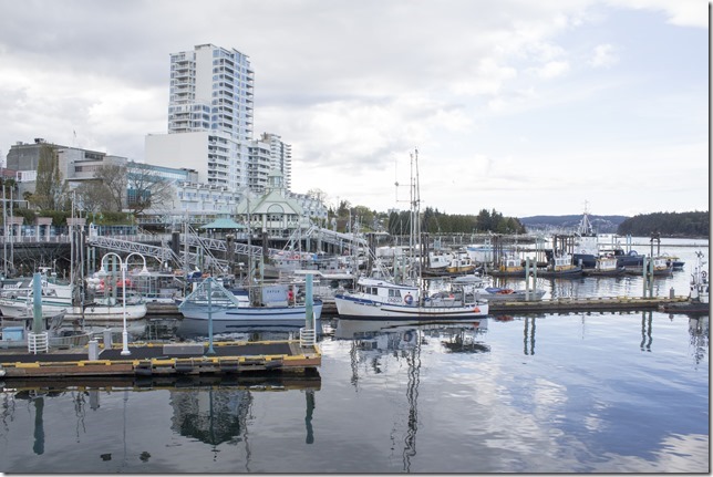 Nanaimo,tug boat,marina,fish boat,spring,Nanaimo Marina Boat Basin