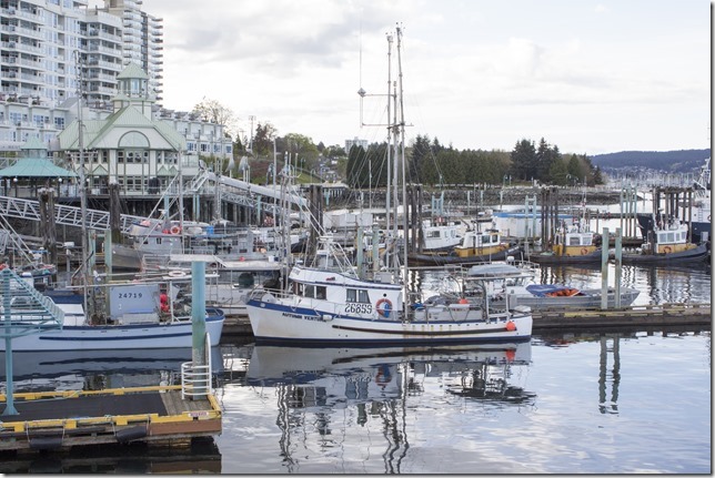 Nanaimo,marina,fish boat,spring,Autumn Venture