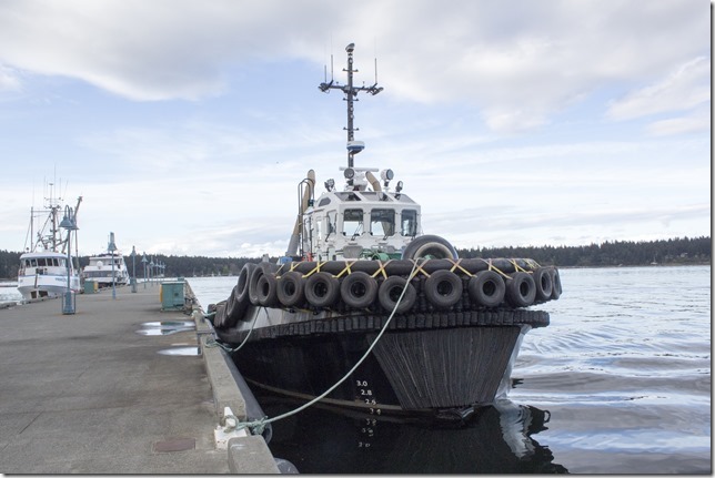 Nanaimo,tug boat,marina,fish boat,spring,BC Ferries,ocean,MV Quinsam