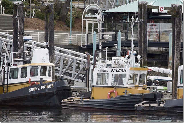 Rapid Towing,Falcon,Sooke Prince,Nanaimo Marina Boat Basin,Nanaimo,tug boat,marina,spring