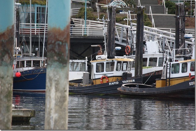 Rapid Towing,Rapid Yarder,Nanaimo Marina Boat Basin,Nanaimo,tug boat,marina,spring