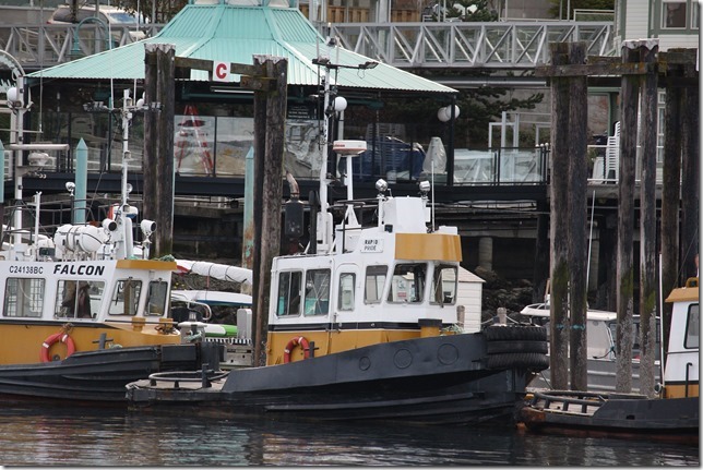 Rapid Towing,Sea Imp I,Rapid Pride,Nanaimo Marina Boat Basin,Nanaimo,tug boat,marina,spring