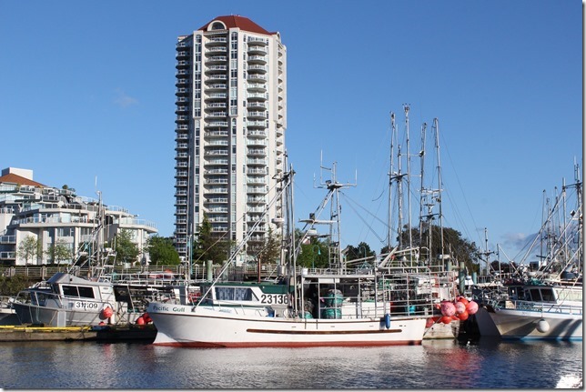 Nanaimo,tug boat,marina,fish boat,spring