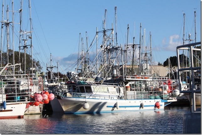 Nanaimo,marina,fish boat,spring,Cameron Island Marina