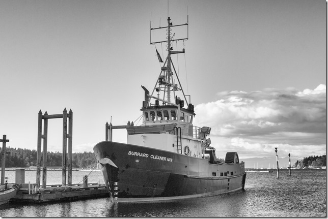 Nanaimo,tug boat,marina,spring