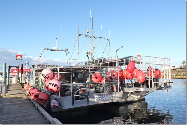 Nanaimo,tug boat,marina,fish boat,spring,prawns
