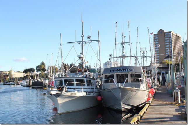 Nanaimo,tug boat,marina,fish boat,spring,prawns