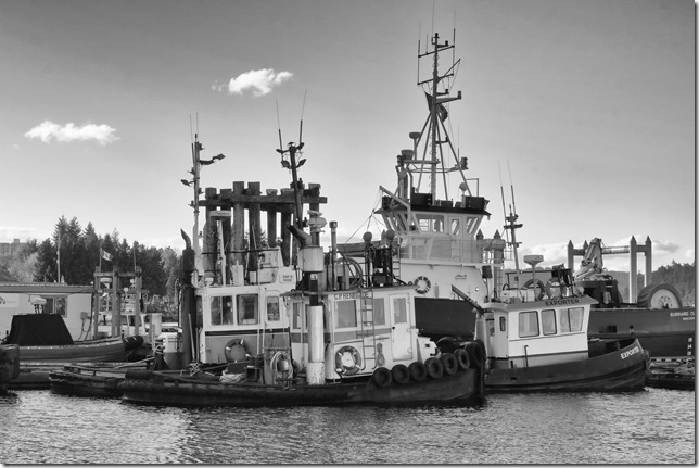 Nanaimo,tug boat,marina,spring