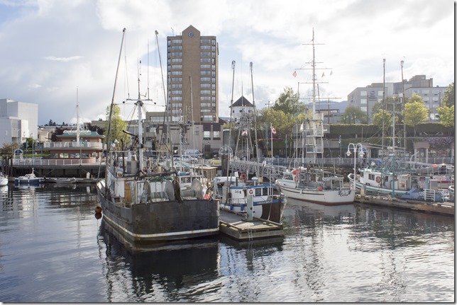 Nanaimo,tug boat,marina,fish boat,spring