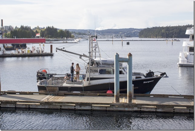 Nanaimo,tug boat,marina,fish boat,spring