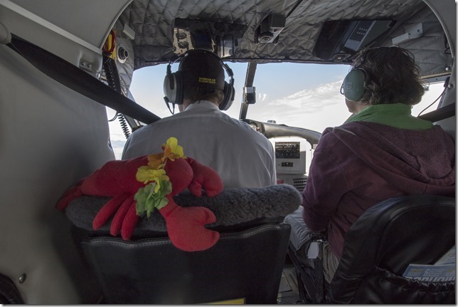 air planes,lobster,1959 De Havilland DHC-2 Mk I Beaver,Harbour Air