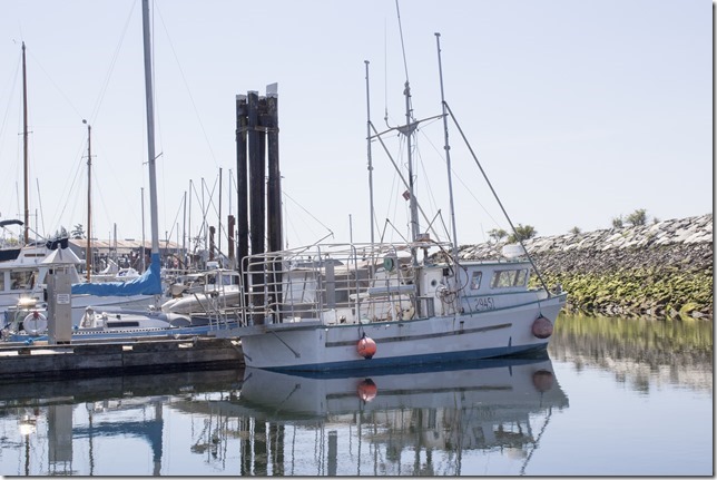 Powell River,Westview,marina,fish boat,spring